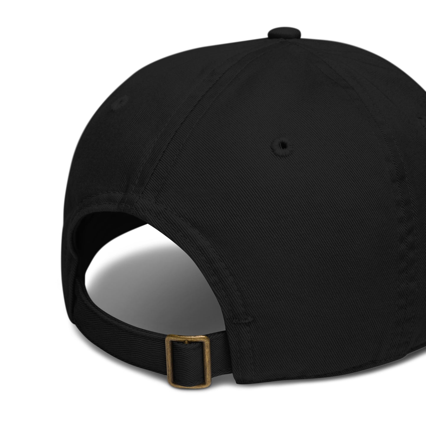 The Coaltrain Report Organic dad hat