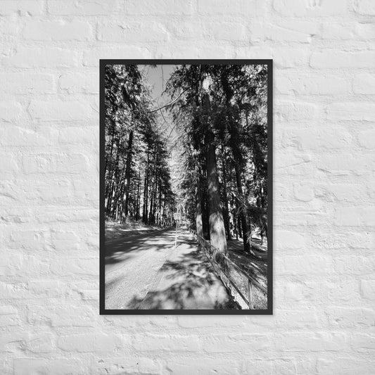 Miles Coaltrain Original Framed Print